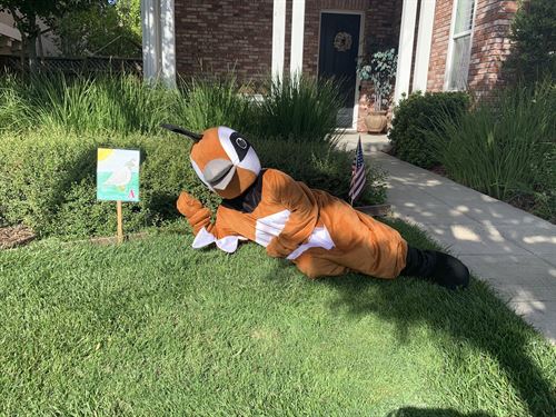 school mascot laying on grass